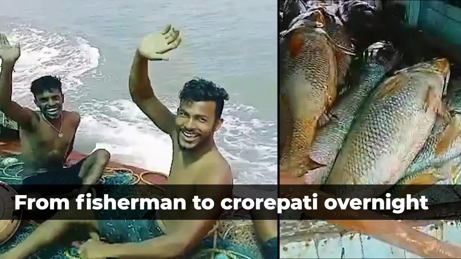 msid-85831345,imgsize-93788.cms