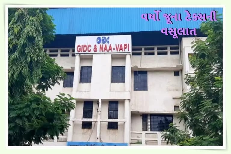 WhatsApp Image 2022-06-25 at 2.05.55 PM