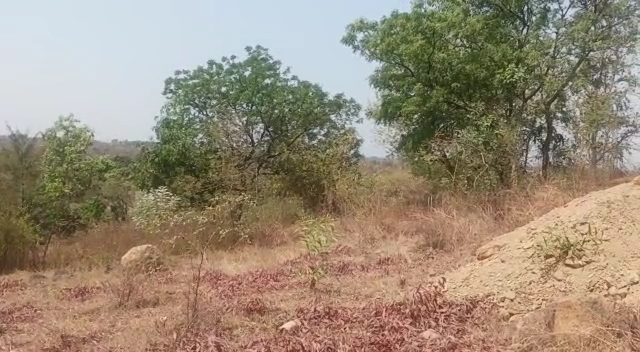 WhatsApp Video 2023-03-10 at 5.09.18 PM.mp4_snapshot_00.38.188